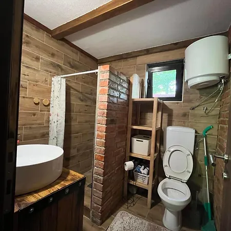 Dunja - Forest House With Pool 別荘 *